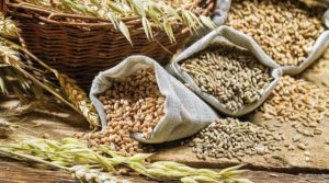 Cereal grains